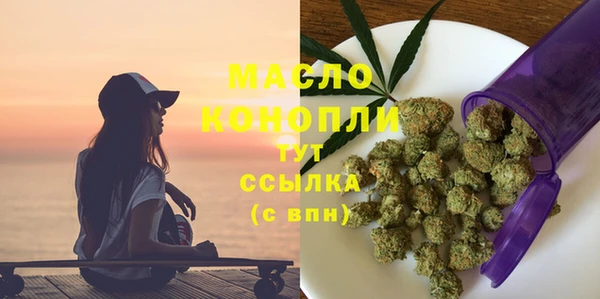 apvp Вяземский