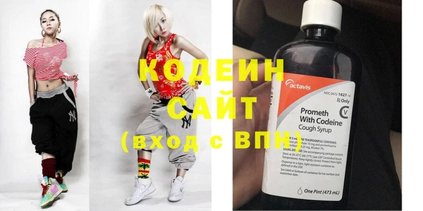 индика Вязьма