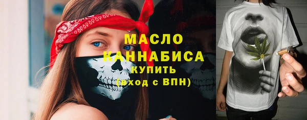 индика Вязьма