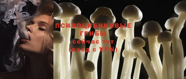 apvp Вяземский