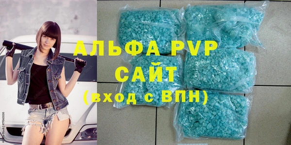 индика Вязьма