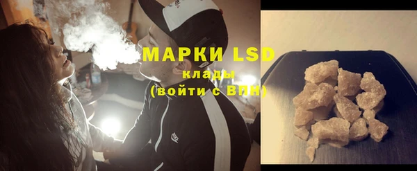 индика Вязьма