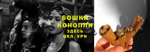 apvp Вяземский