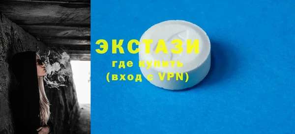 индика Вязьма