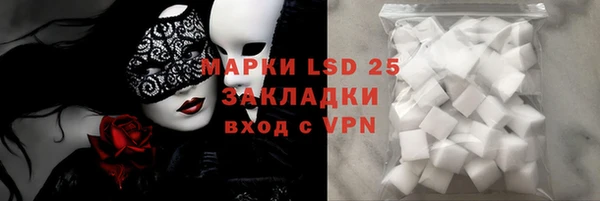 индика Вязьма