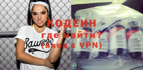 индика Вязьма