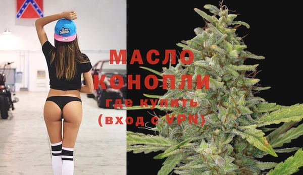 индика Вязьма