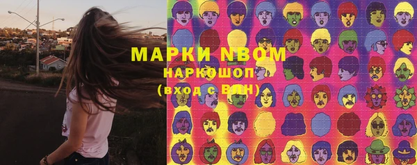 apvp Вяземский