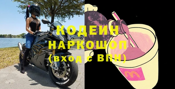 apvp Вяземский