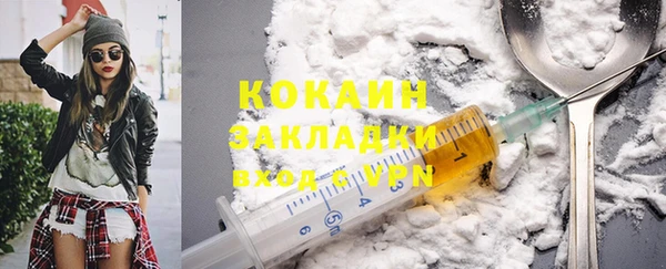 индика Вязьма
