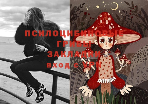 apvp Вяземский