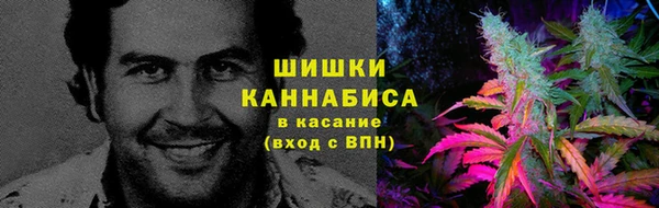 apvp Вяземский