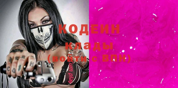 индика Вязьма