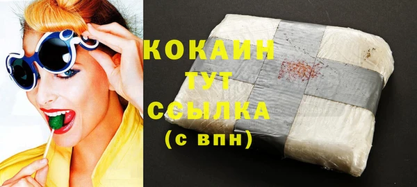 индика Вязьма