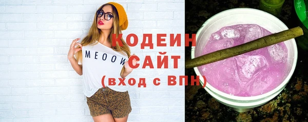 индика Вязьма