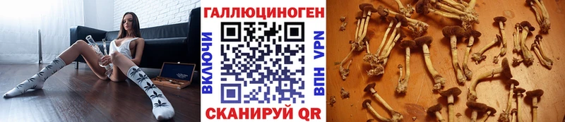 Галлюциногенные грибы Psilocybe  купить наркотик  Череповец 